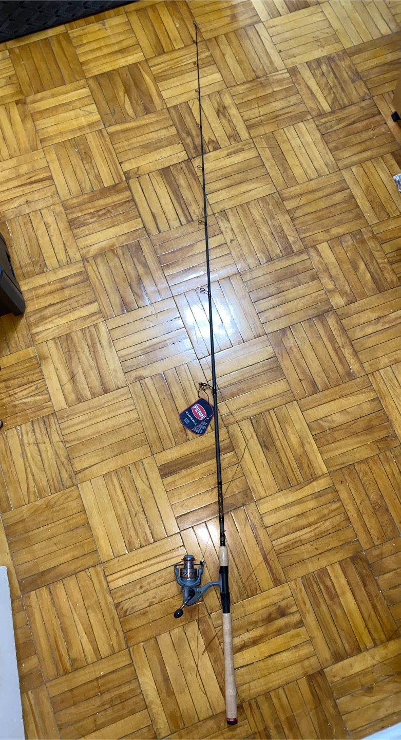 Penn Squadron III spinning combo 7’6ft