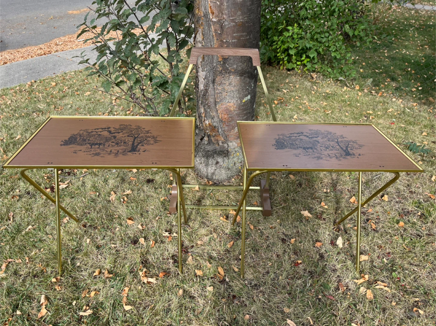 Vintage TV Tray Tables, Set of 2 with Stand