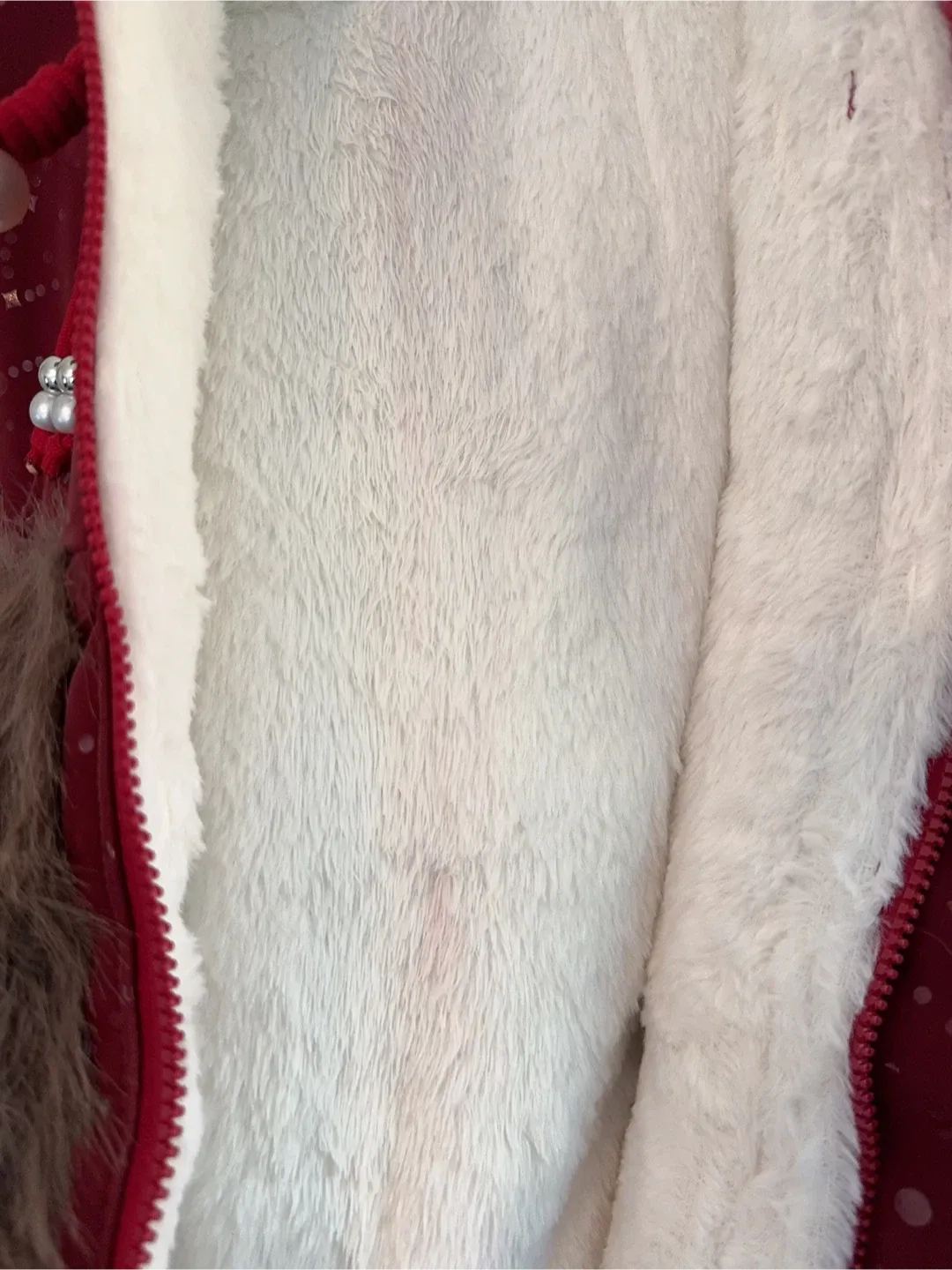 Red Dragon Fur Trimmed Toddler Winter Coat image indicator(6)