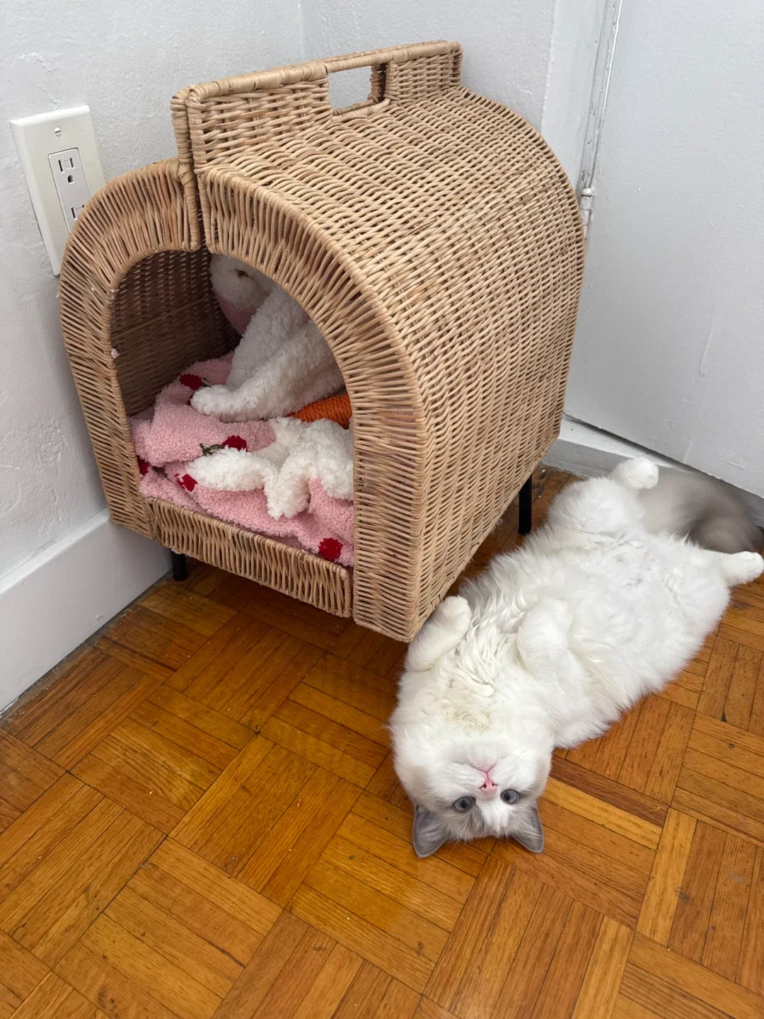 IKEA UTSÅDD Rattan Pet Bed image indicator(2)