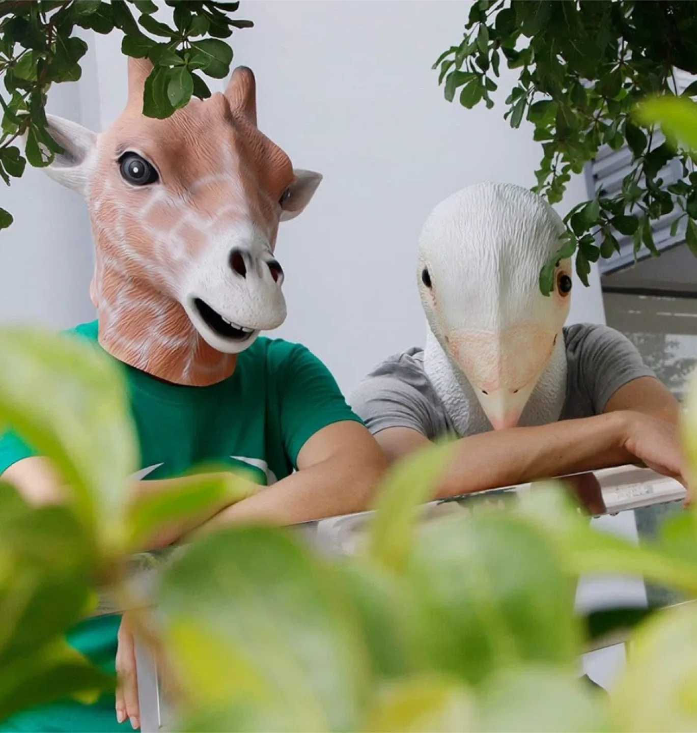 Giraffe Head Mask- Adult - New image indicator(4)