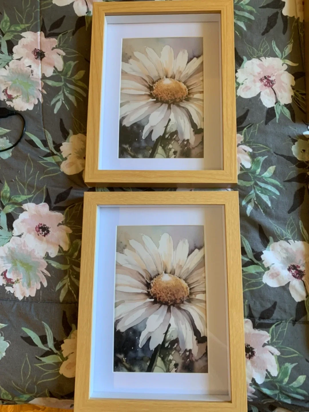 Daisy Watercolor Framed Art