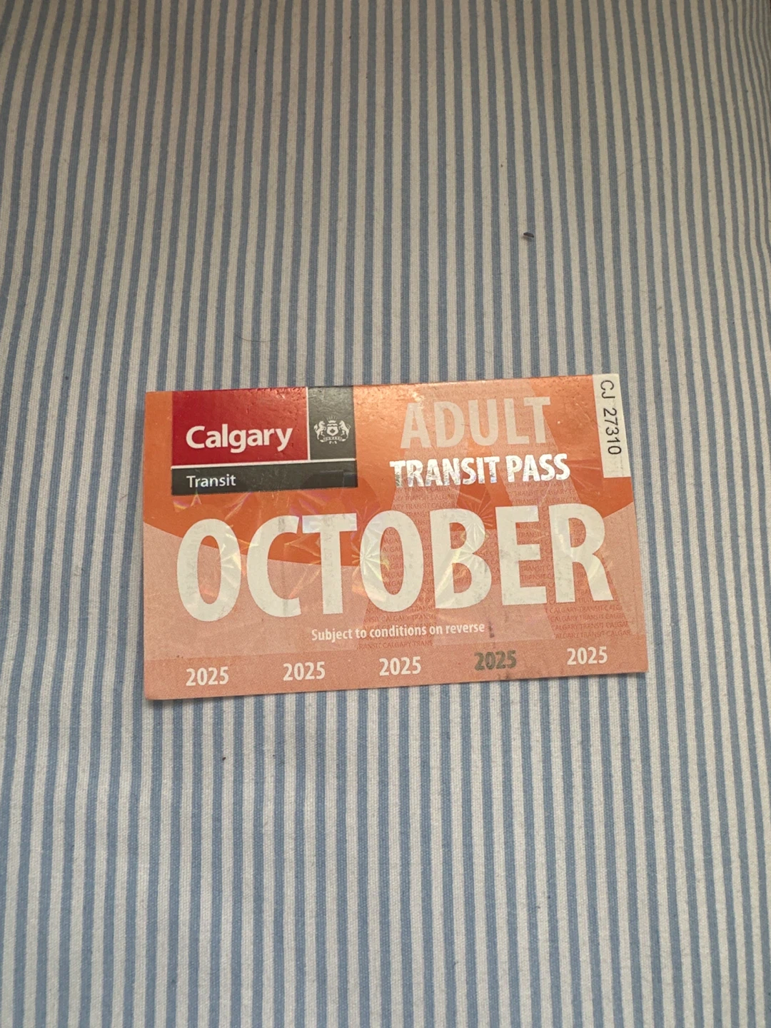 Calgary Transit Adult October Transit Pass - 2025