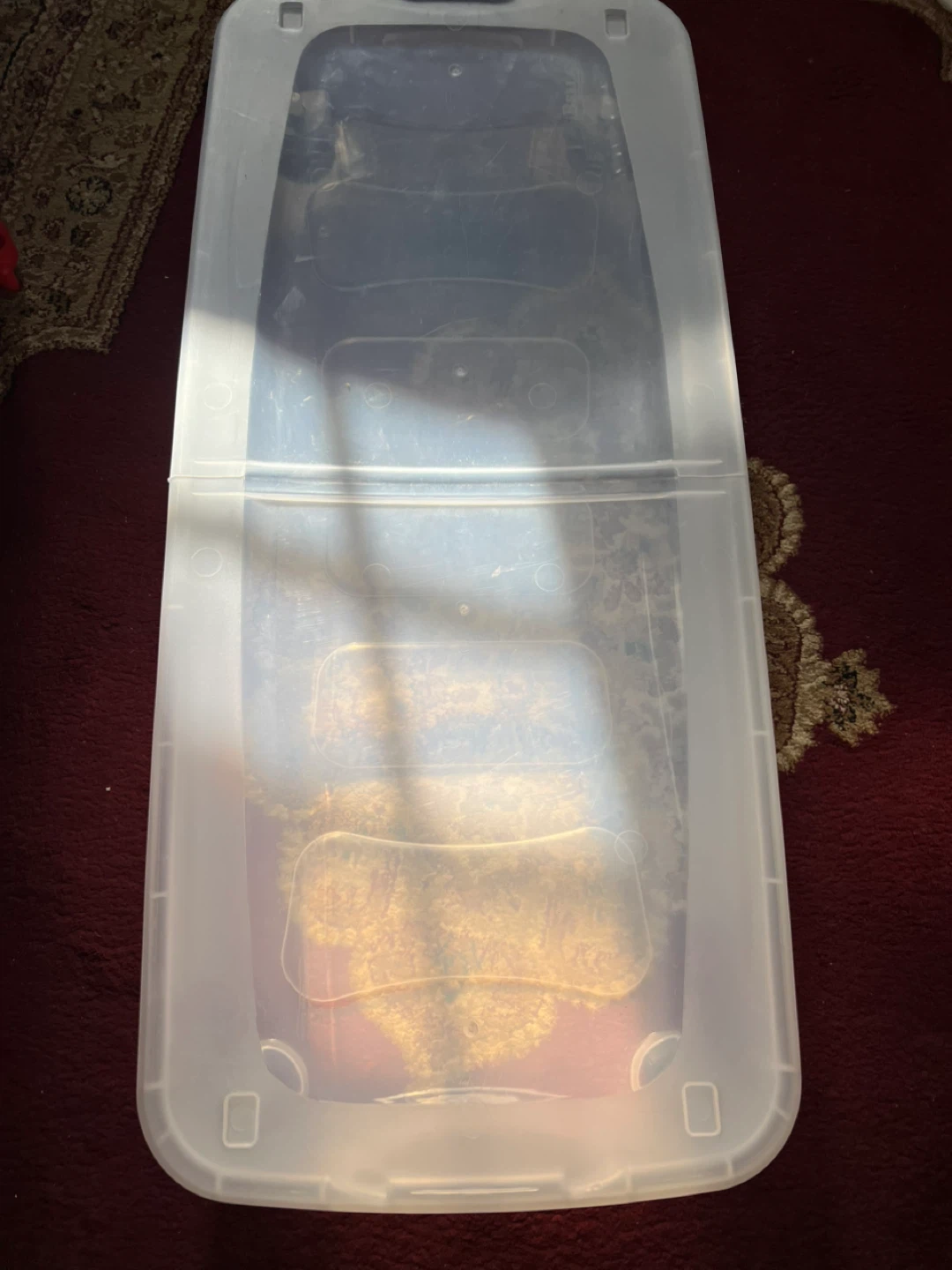 Plastic Storage Container