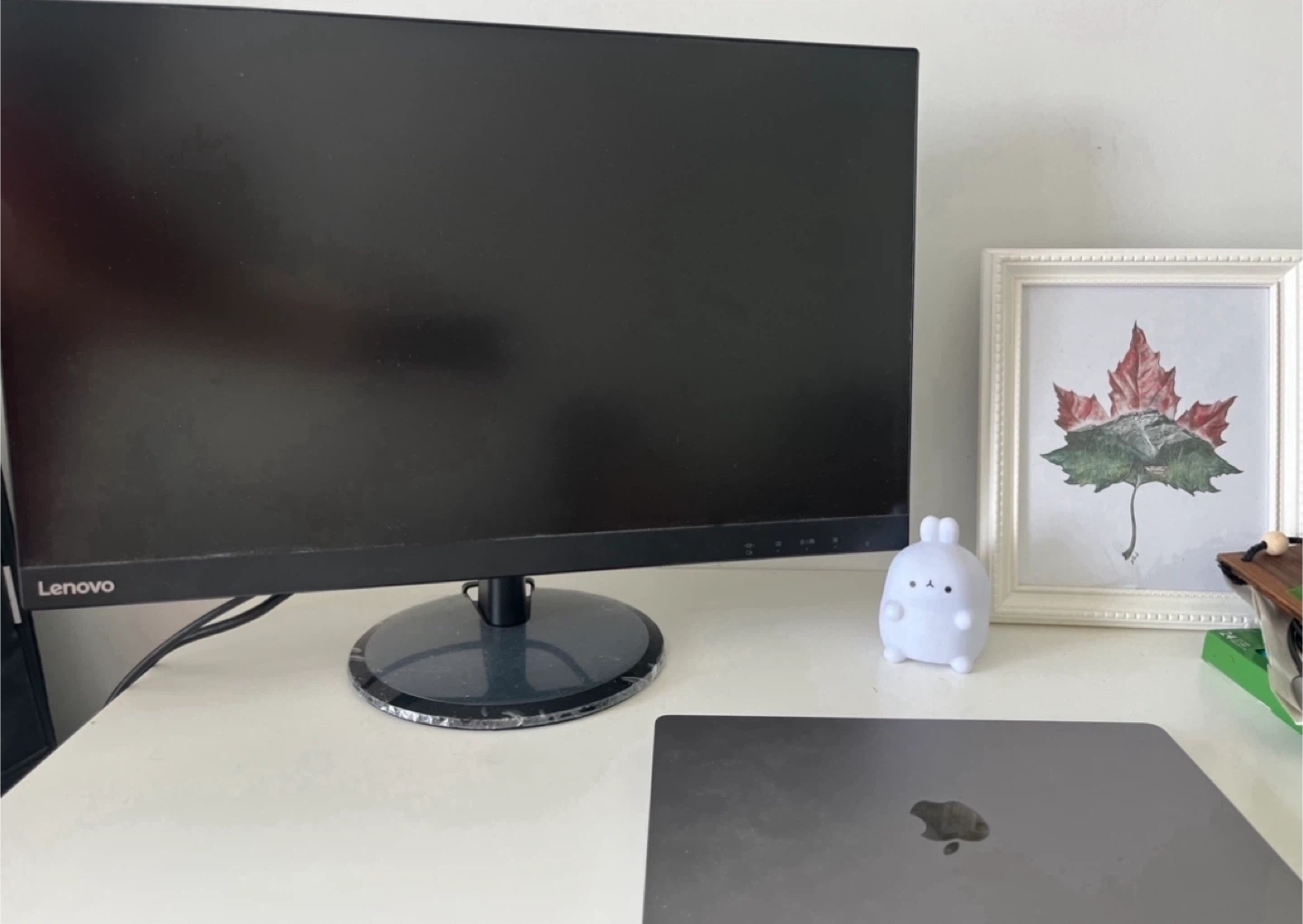 Lenovo Monitor - photo 2