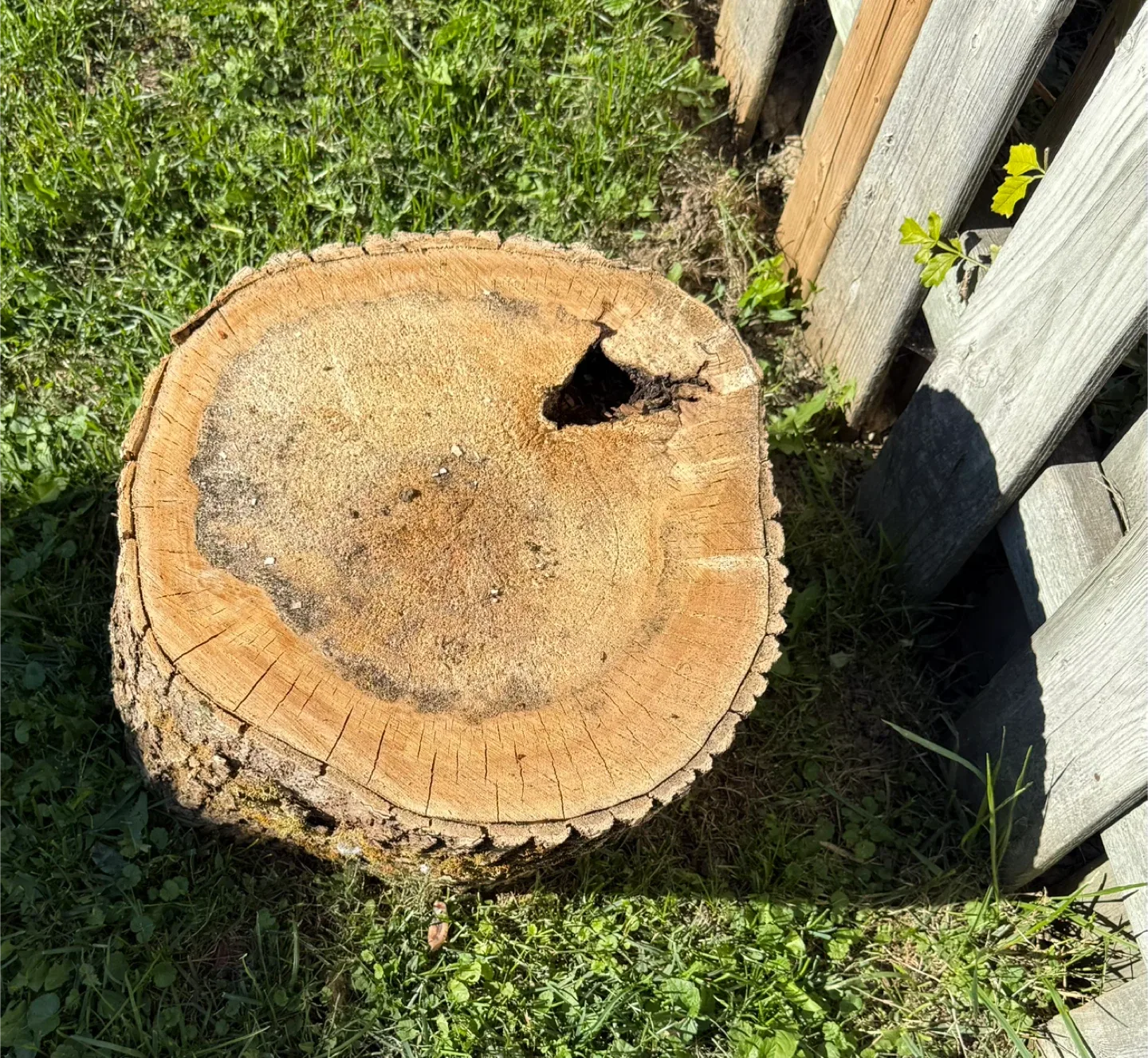 Free firewood image indicator(2)