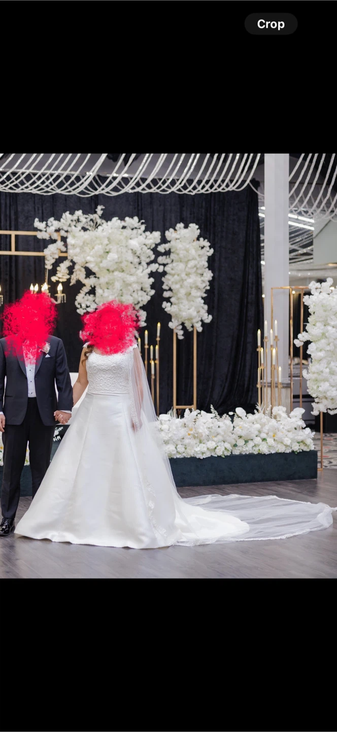 Pronovias Wedding Dress