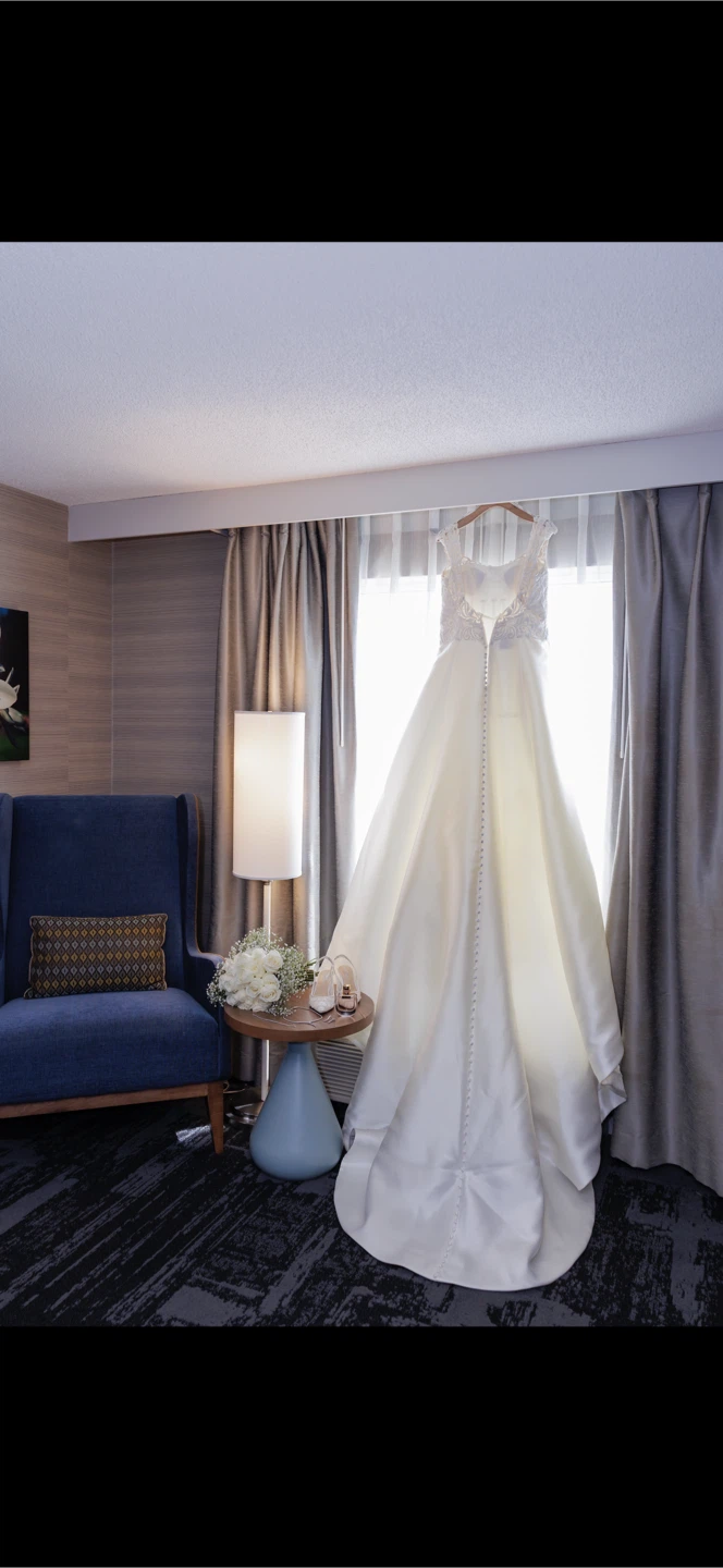 Pronovias Wedding Dress - photo 5
