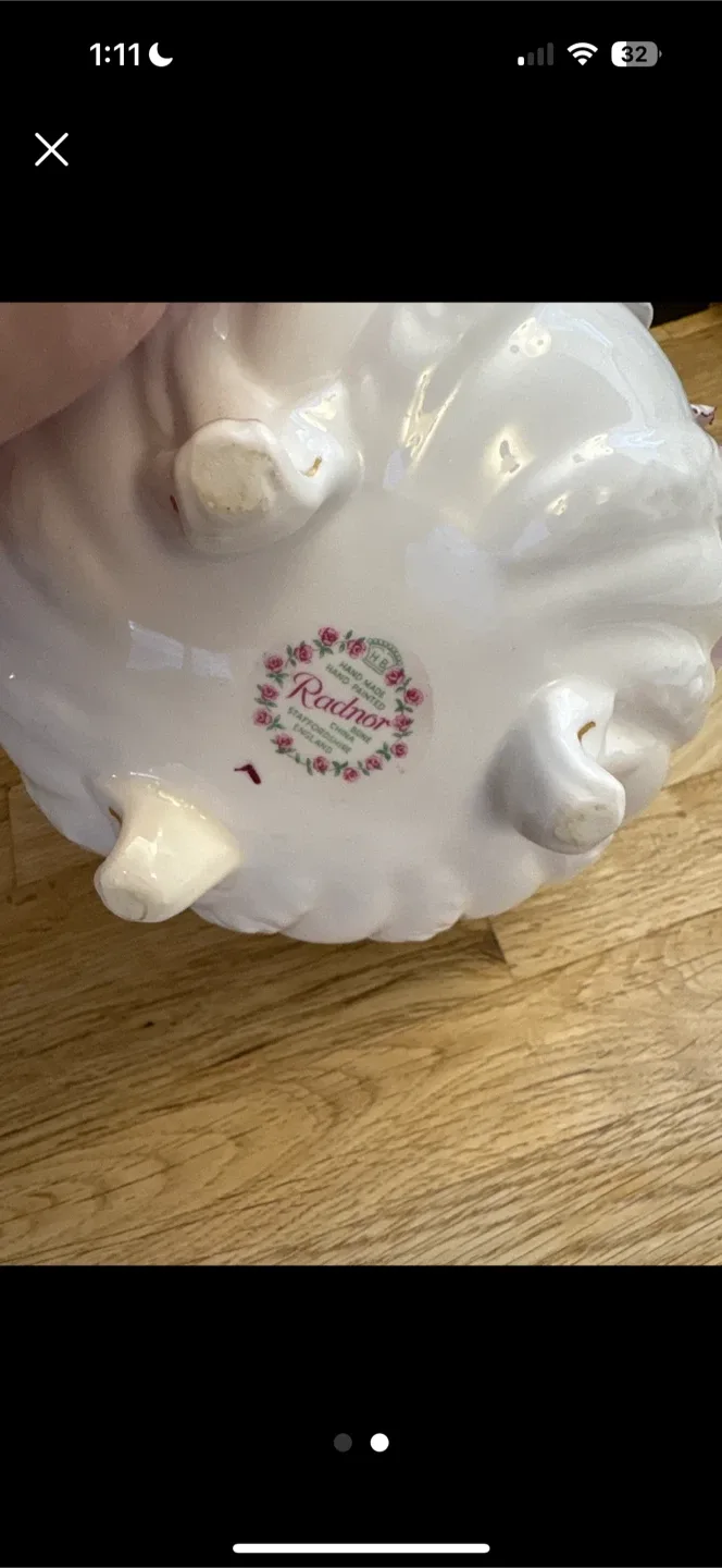 Royal Adderley & Radnor Floral Bone China image indicator(4)