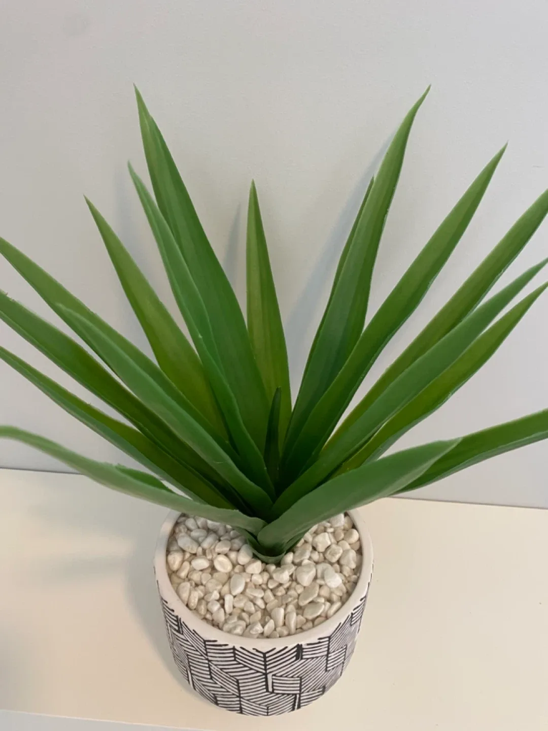 Homesense AGAVE Artificial Plant image indicator(2)