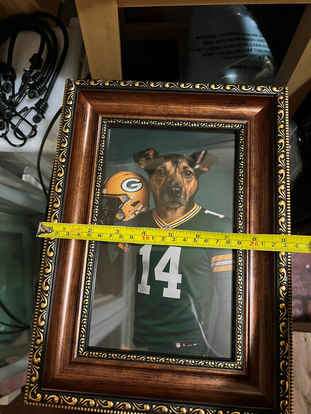 Framed Packers Dog Art - photo 4
