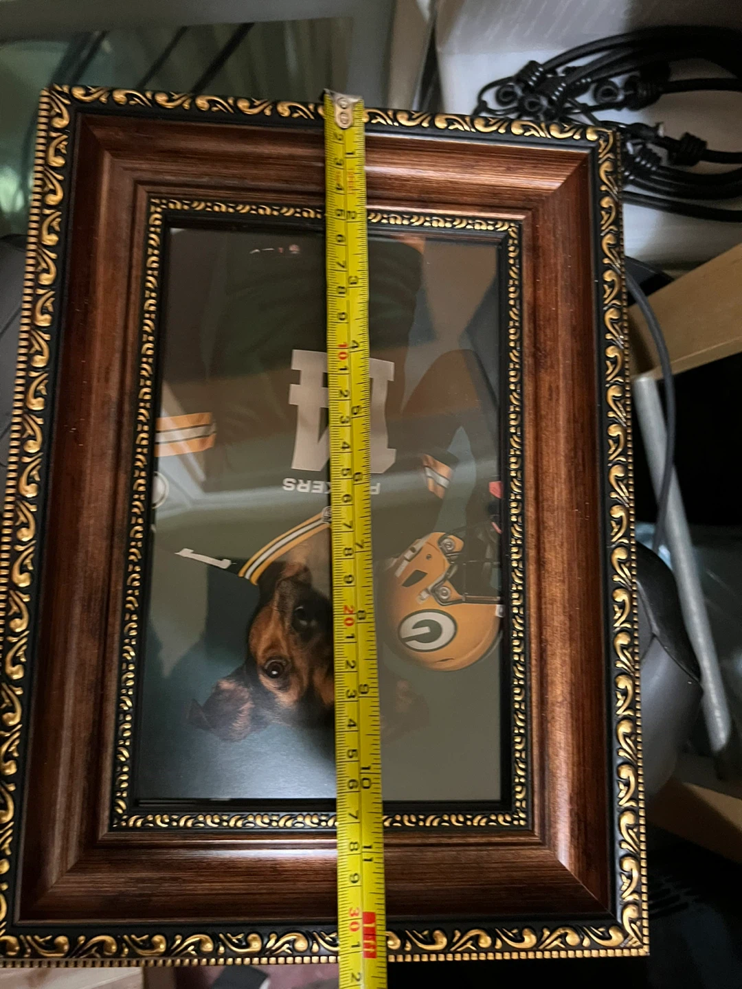Framed Packers Dog Art - photo 5