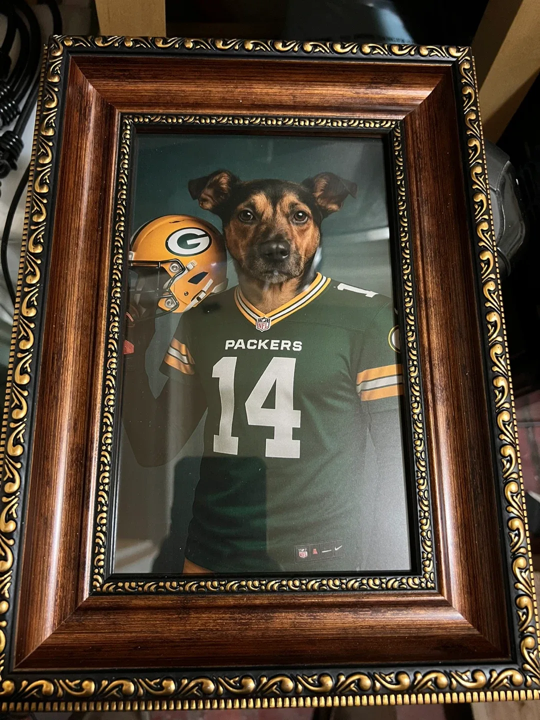 Framed Packers Dog Art
