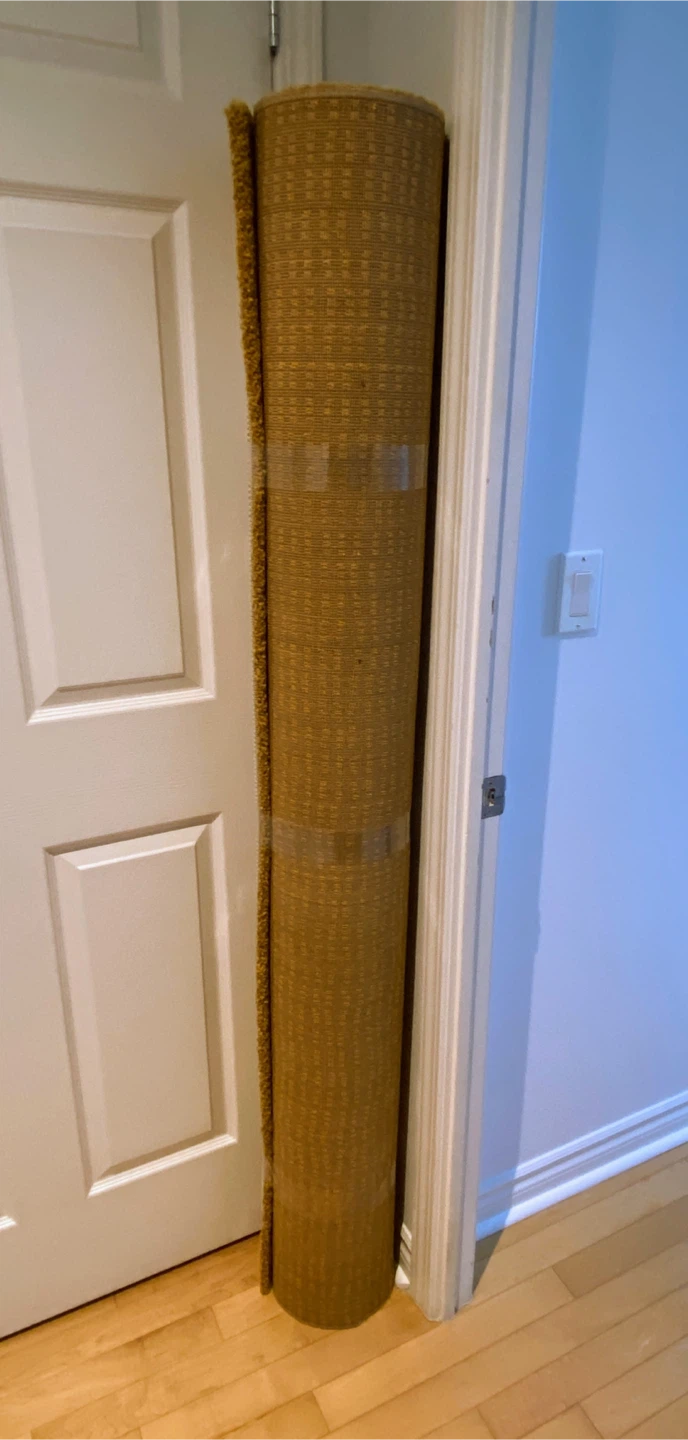 IKEA Langsted Rug - 5'7" x 7'10" - photo 5