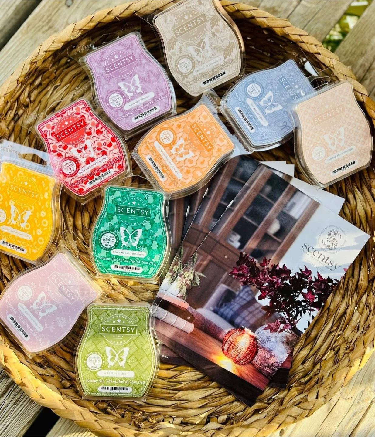 Scentsy 10 bar bundle!
