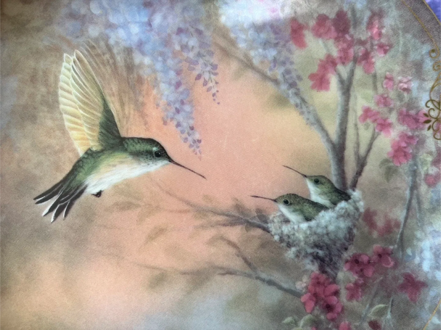 Bradford Exchange Collector’s Plate- Hummingbird and Babies image indicator(2)