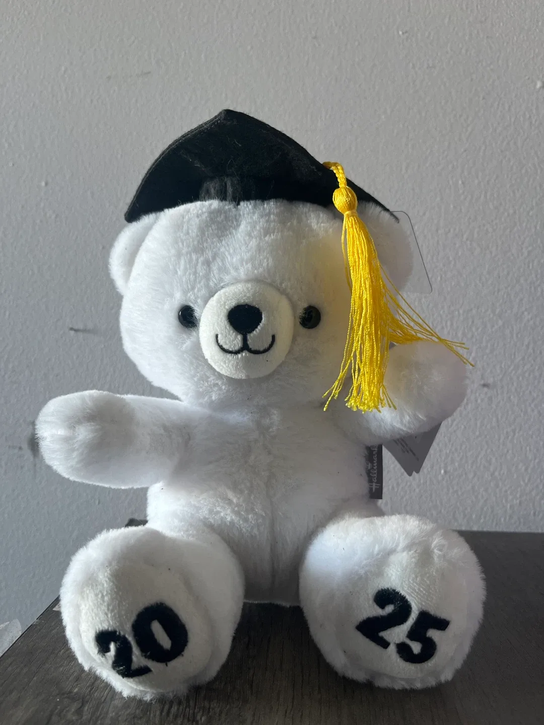 Hallmark Graduation Bear 2025 image indicator(2)