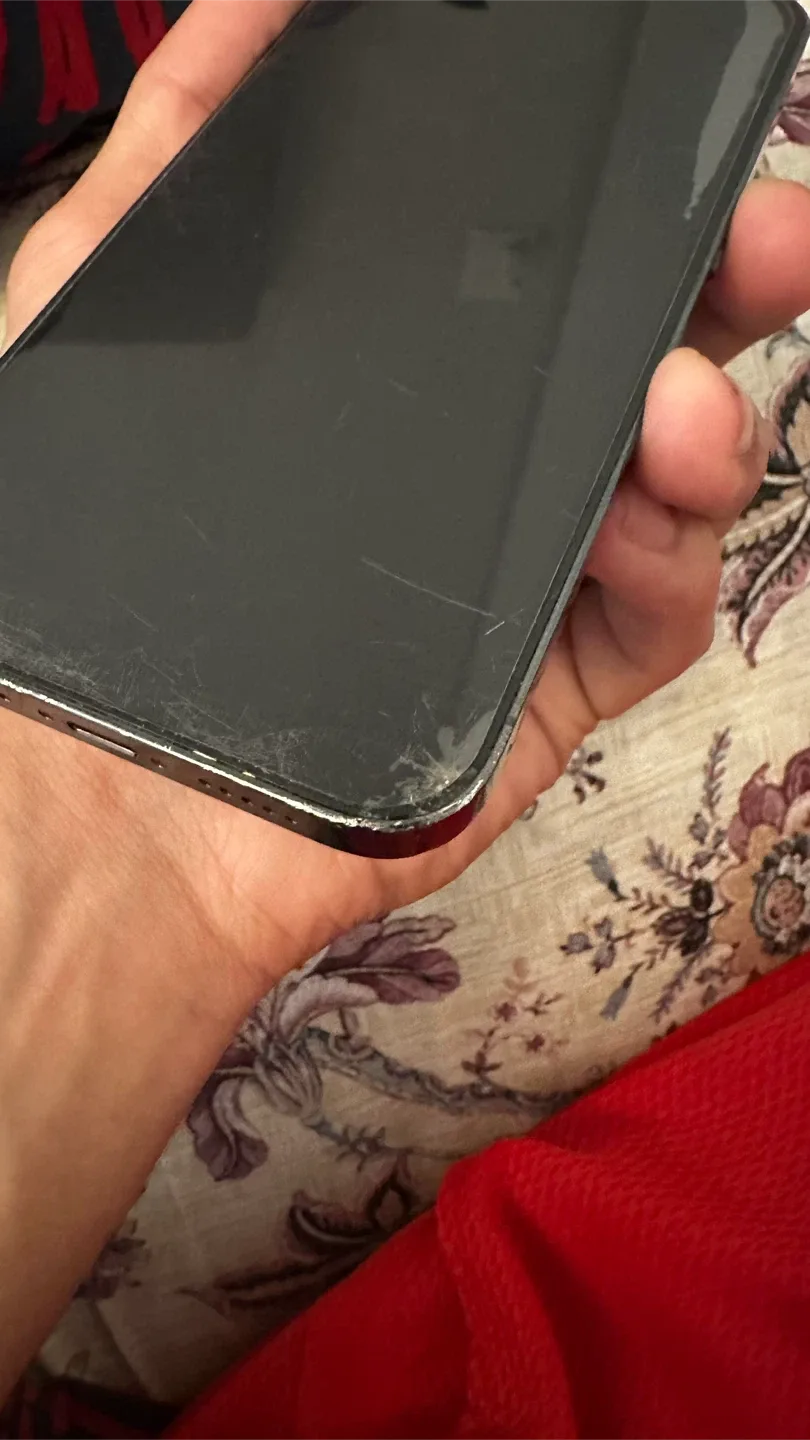 iPhone 13 Pro Alpine Green image indicator(4)