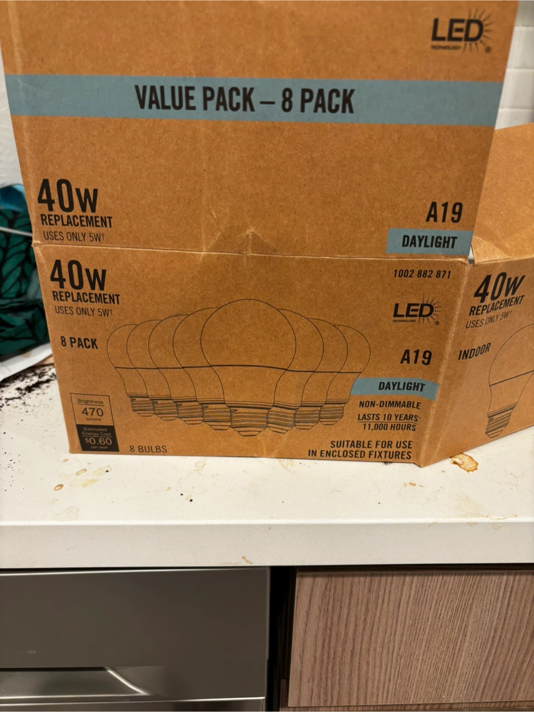 Daylight 40w light bulbs 🥕🥕🥕