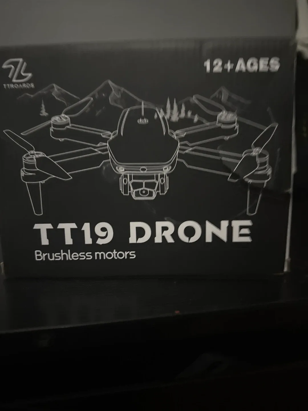 TT19 Drone - Brushless Motors -Built in camera Ages 12+ image indicator(4)