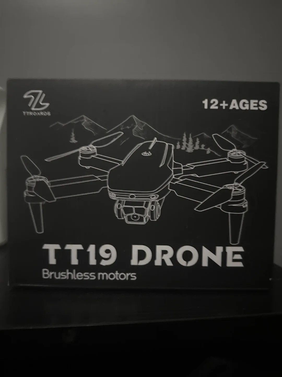TT19 Drone - Brushless Motors -Built in camera Ages 12+ image indicator(3)