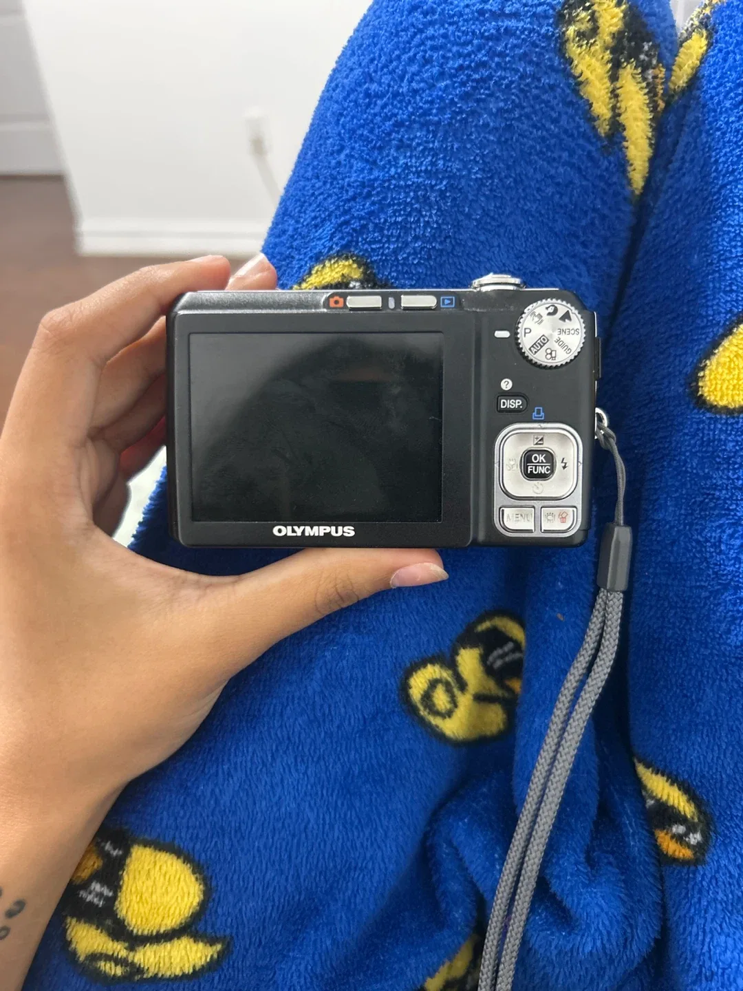 Olympus FE-330 8.0 Megapixel Digital Camera image indicator(2)