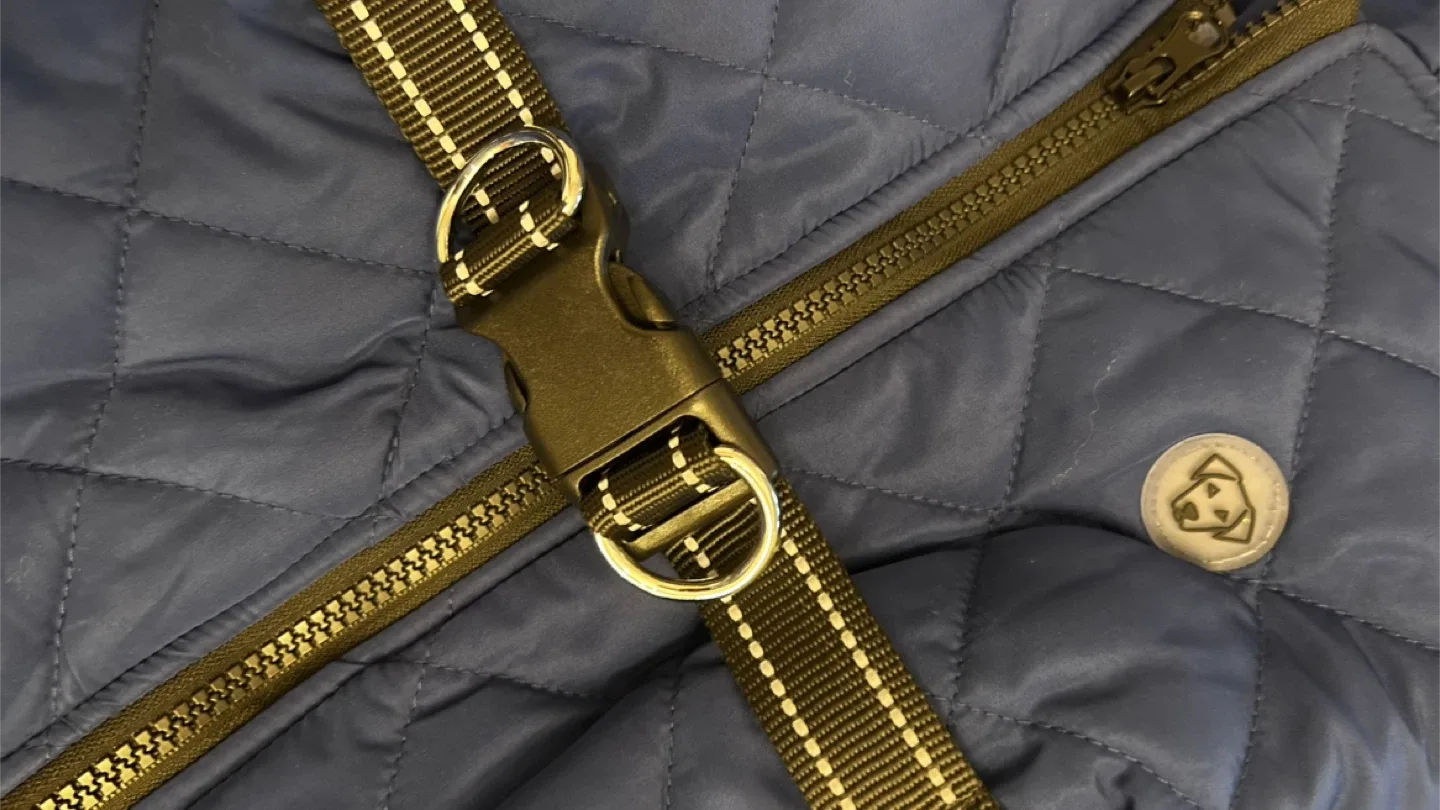 One Paw XL/TG Blue Dog Coat with Harness image indicator(8)