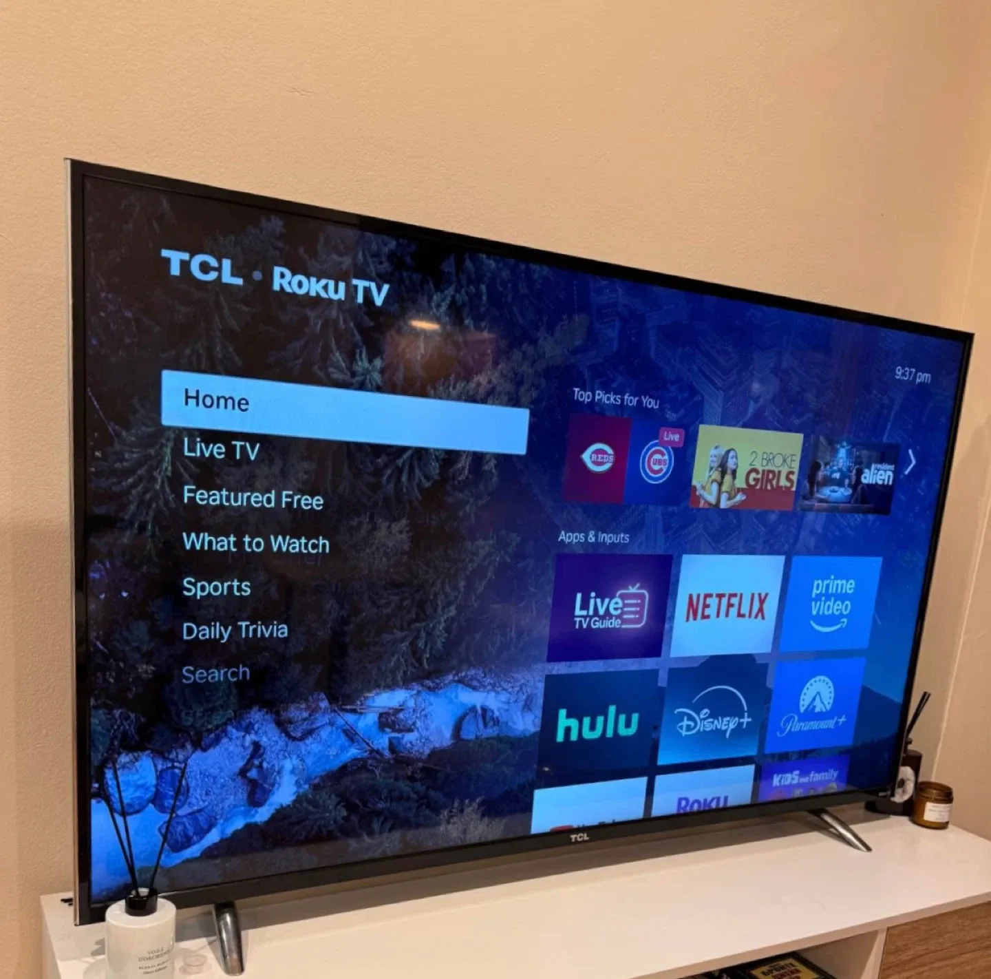 TCL Roku TV image indicator(3)