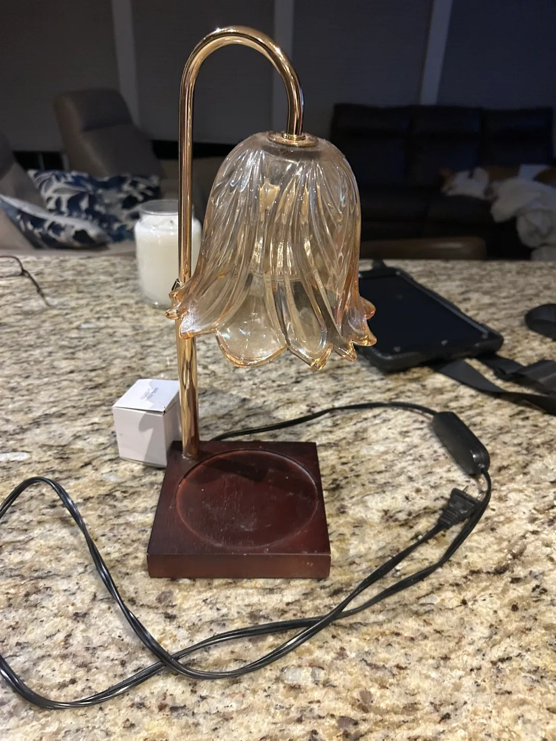Wax Warmer Lamp image indicator(3)