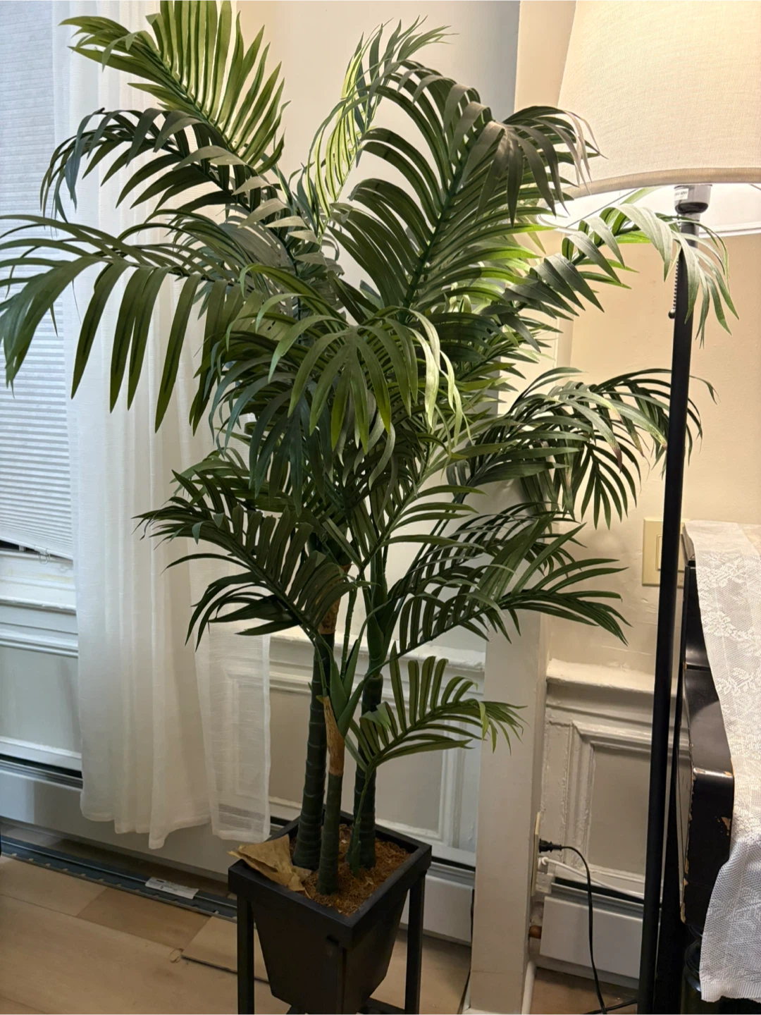 Faux Palm Tree in Black Pot