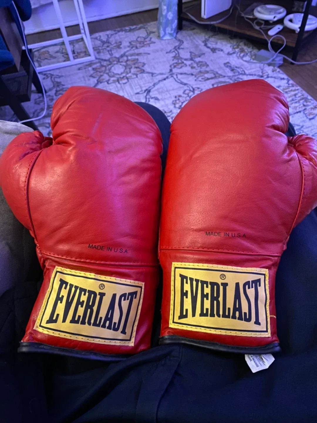 Vintage Everlast Boxing Gloves thumbnail