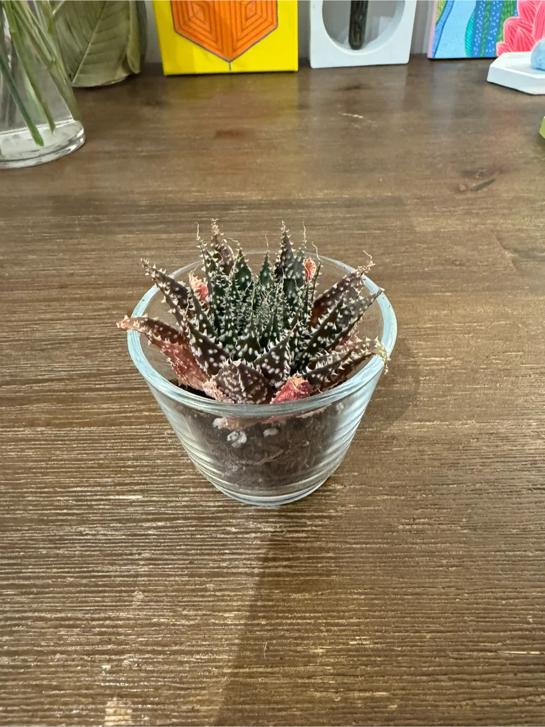 Plant thumbnail
