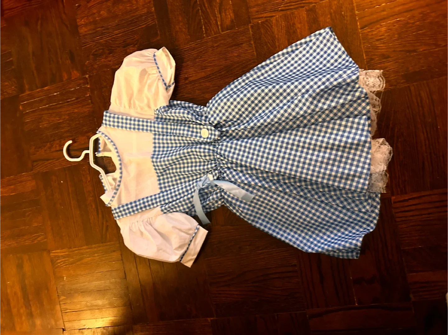 Wizard of Oz Dorothy Dress Size 4/6 image indicator(2)