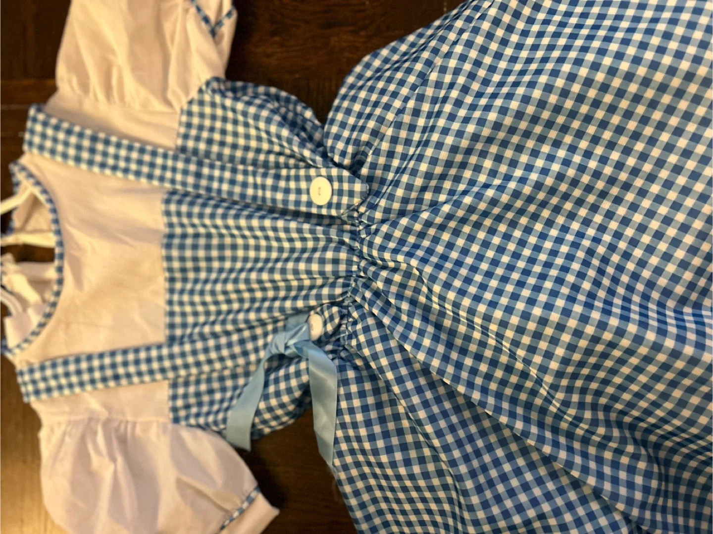 Wizard of Oz Dorothy Dress Size 4/6 image indicator(5)