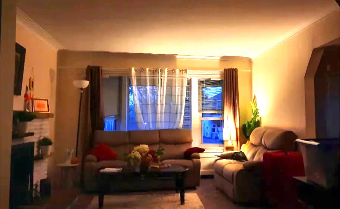 Couches (for sale)