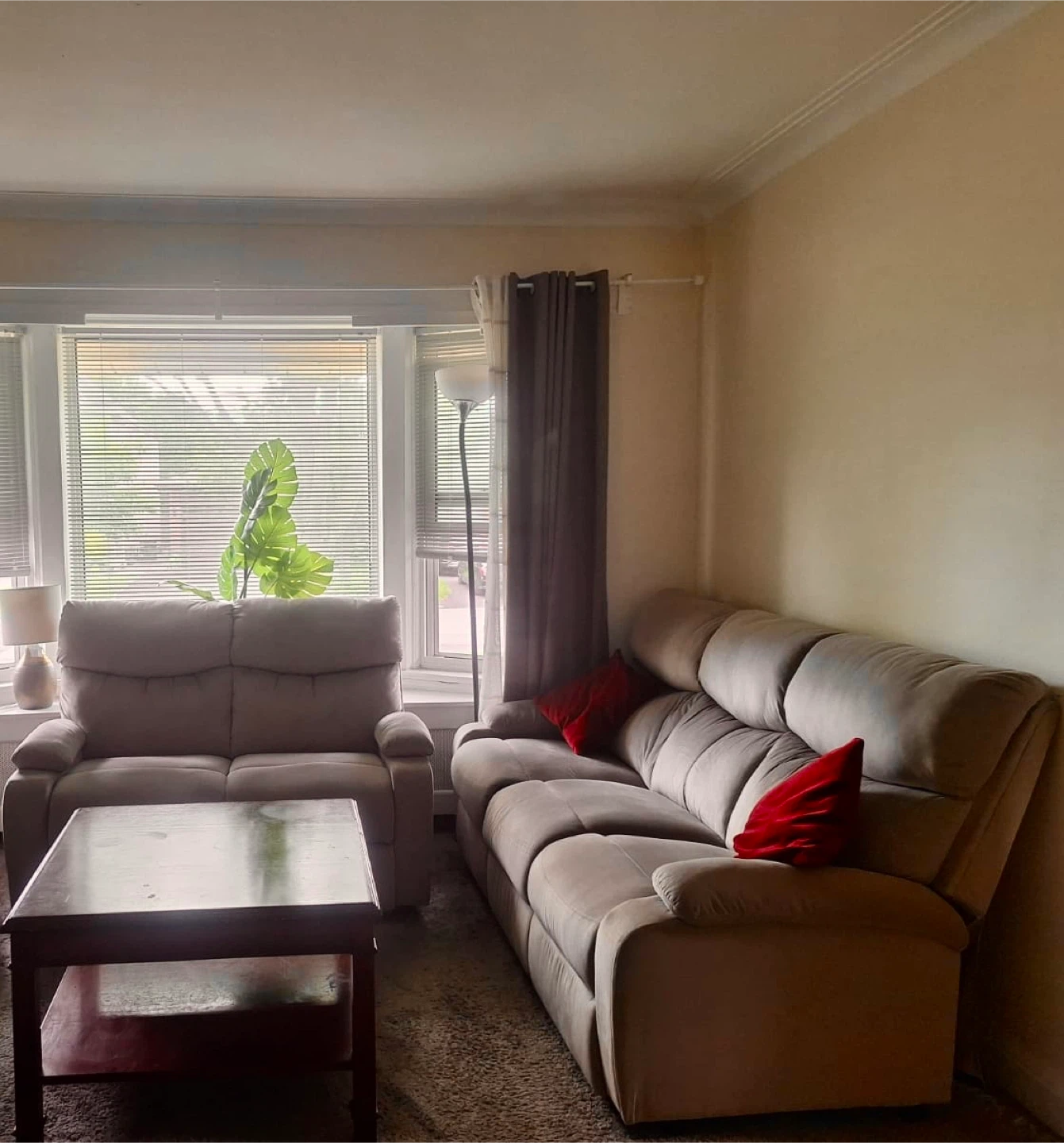 Couches (for sale) - photo 2