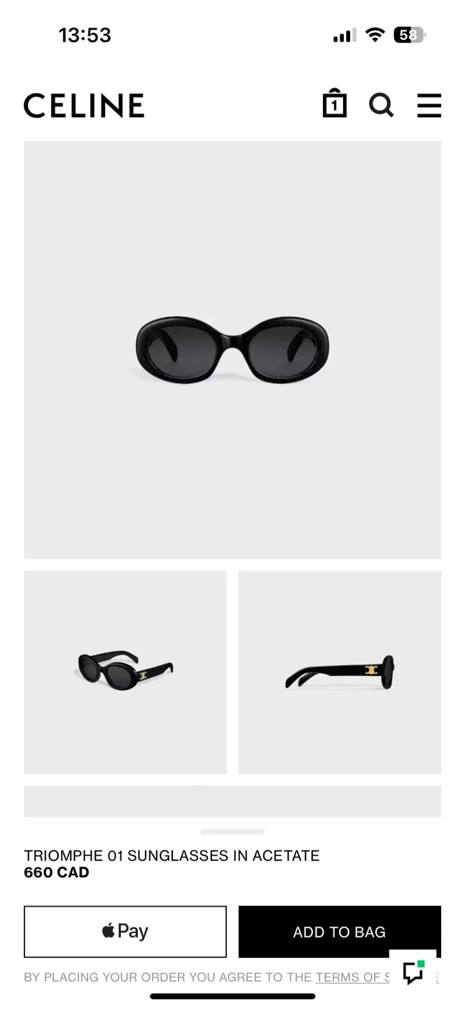 Celine Triomphe 01 Sunglasses in Acetate Black thumbnail