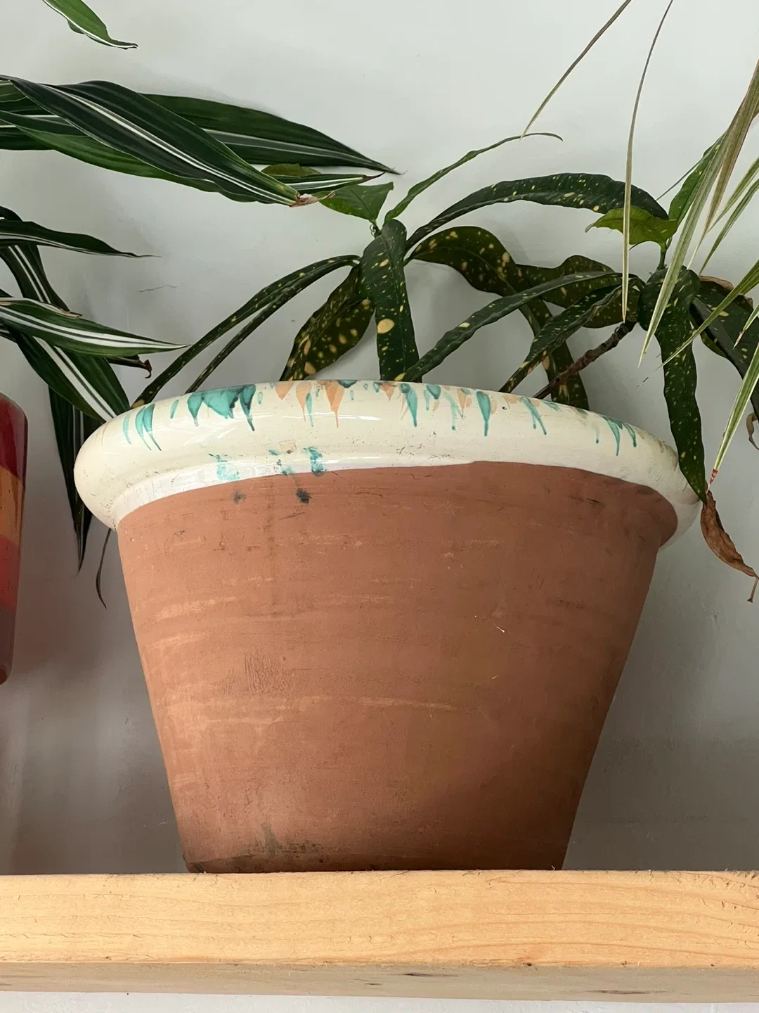 Terra Cotta Plant Pot thumbnail