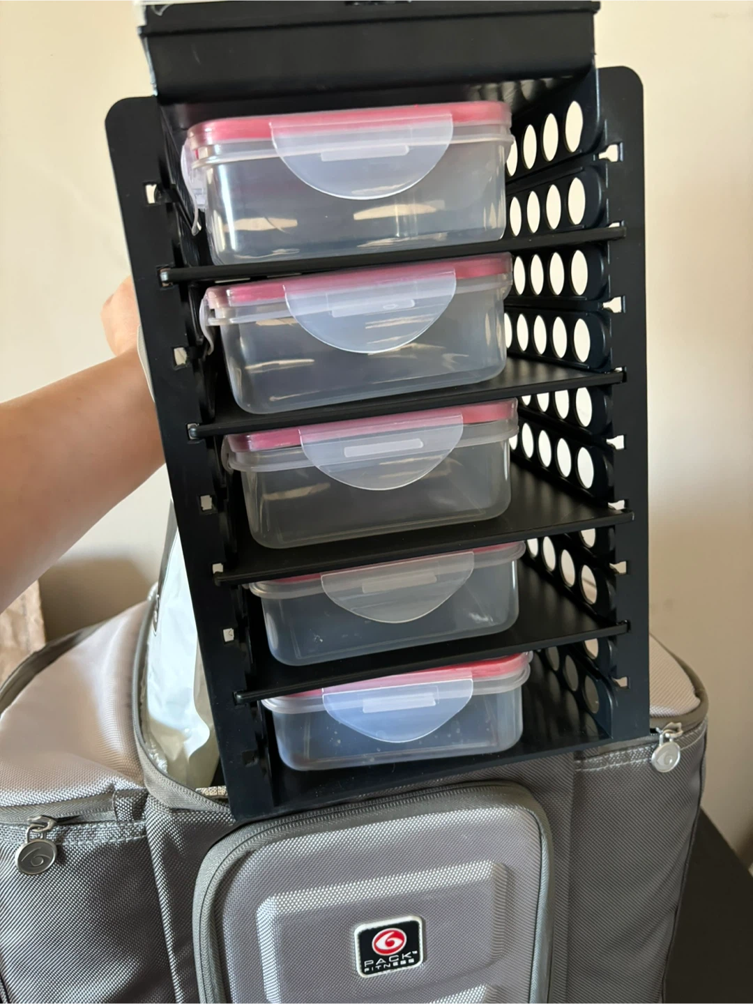 6 Pack Fitness Meal Management Bag