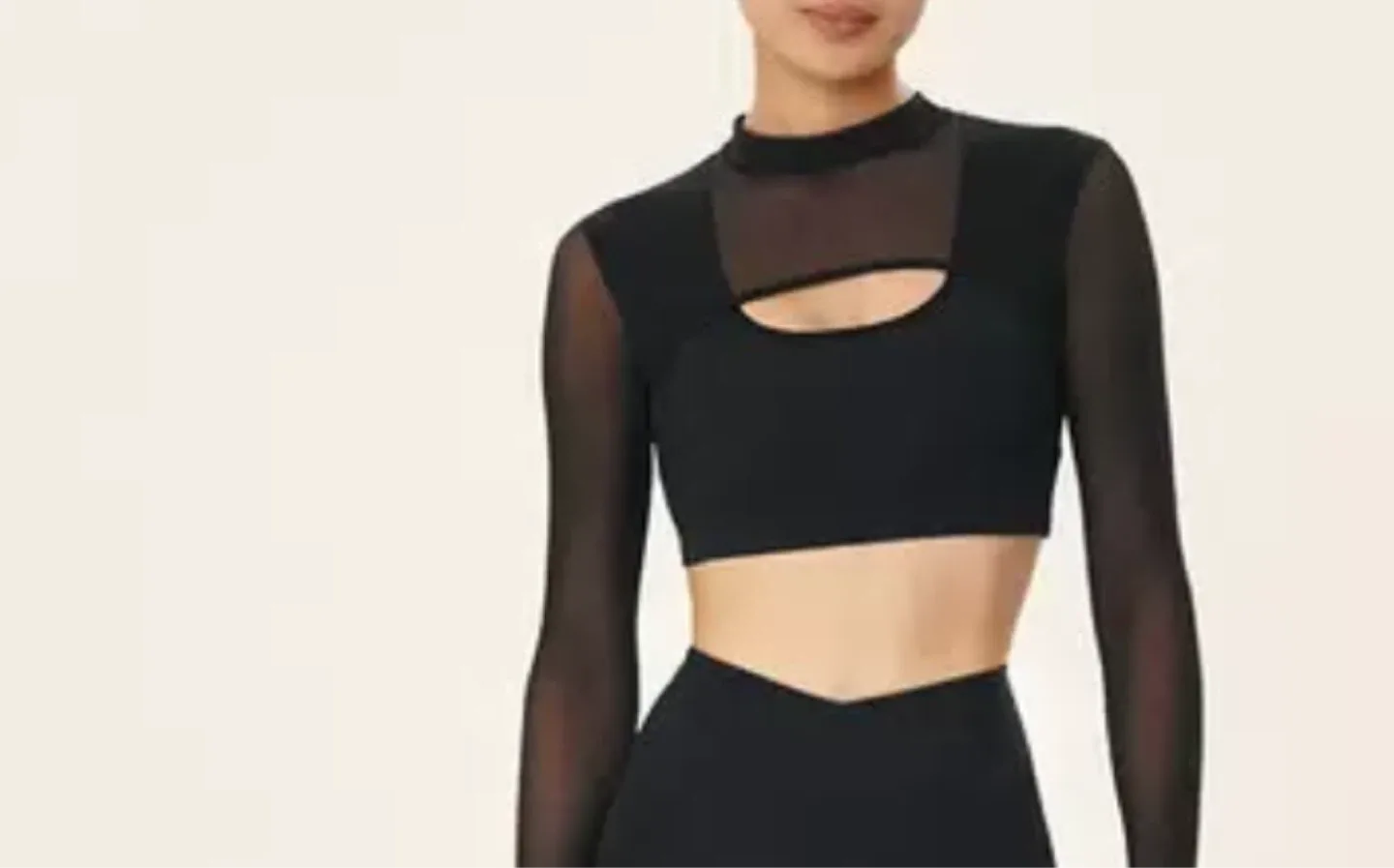 New Black Mesh Long Sleeve Top image indicator(2)