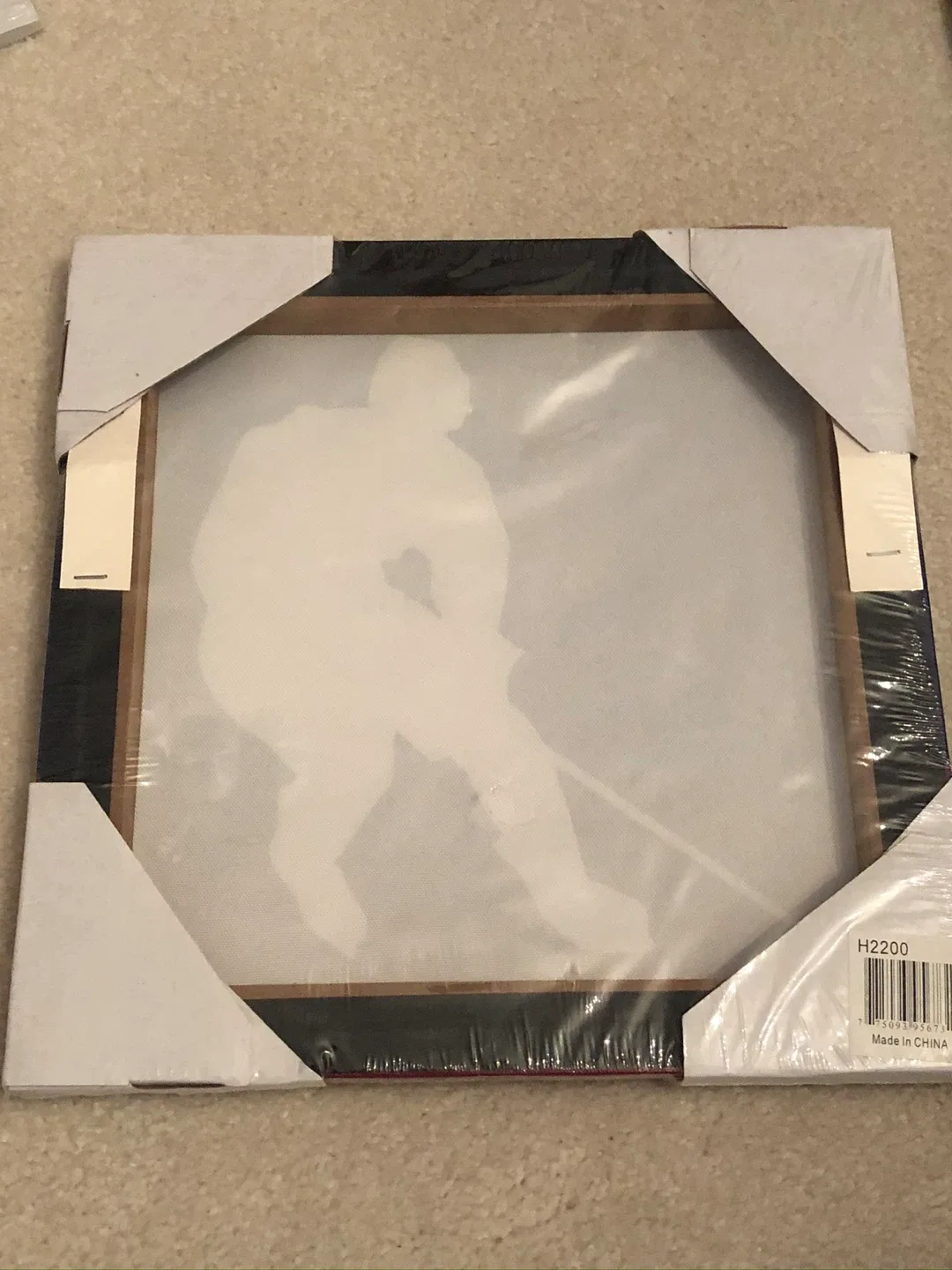 Hockey Themed Pillows & Canvas Art Set image indicator(4)