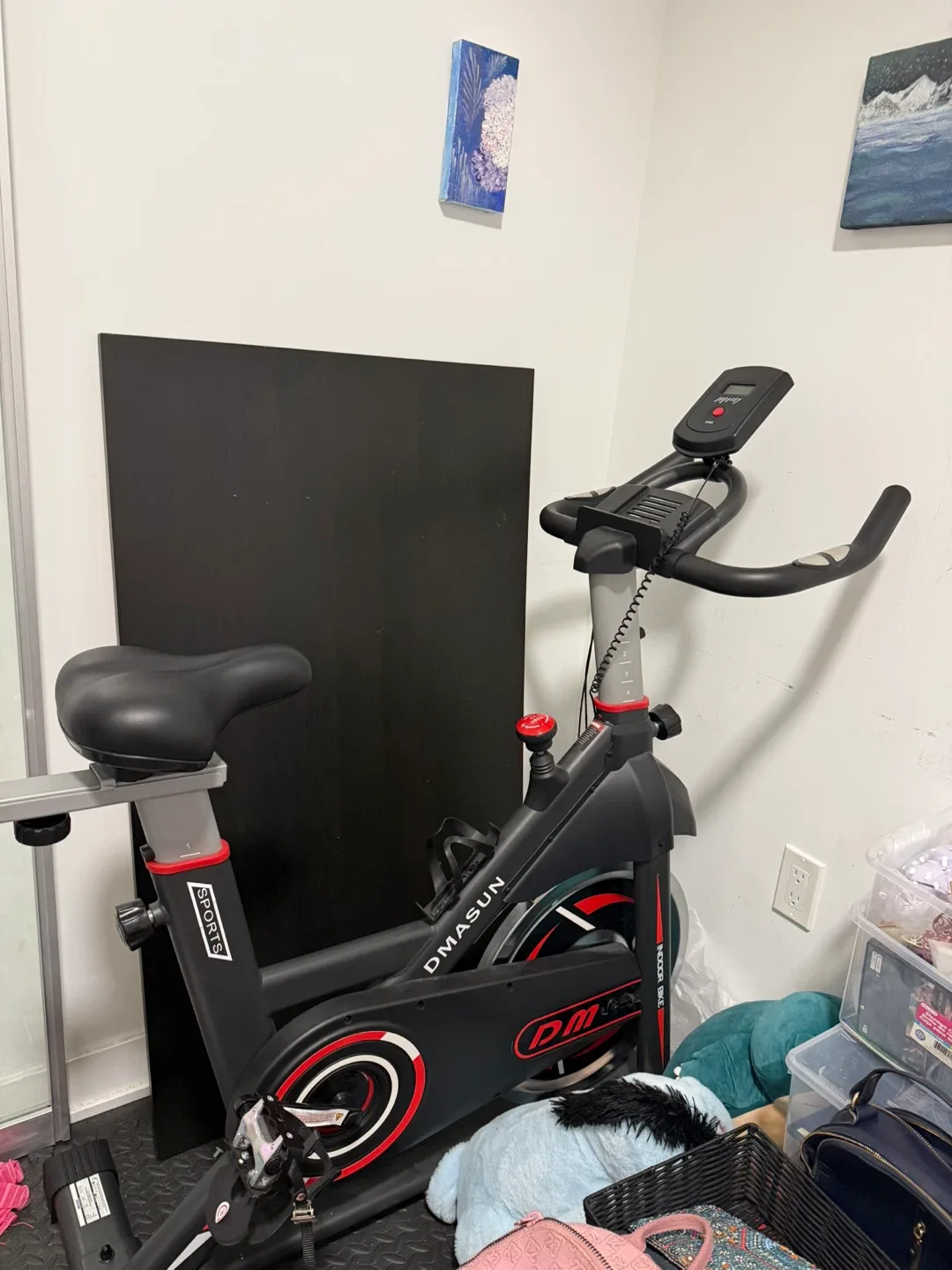 DMASUN Indoor Exercise Bike thumbnail