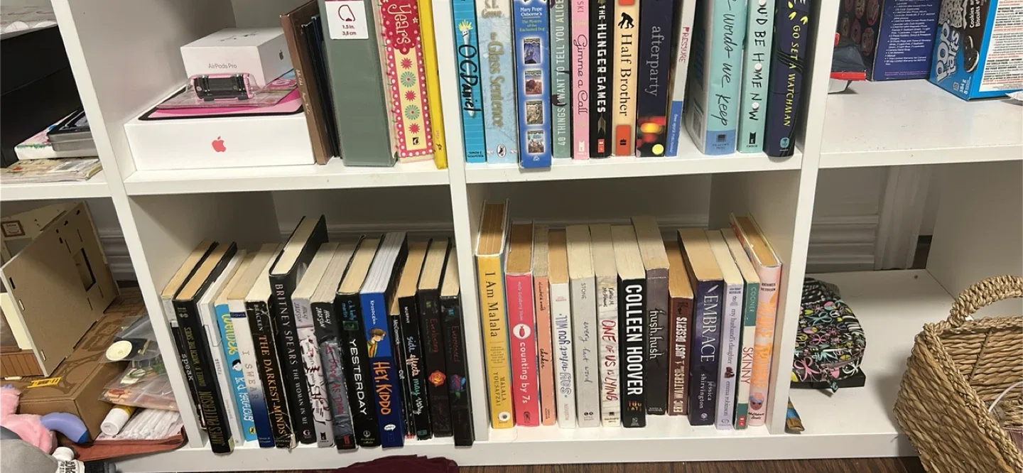 Books image indicator(2)