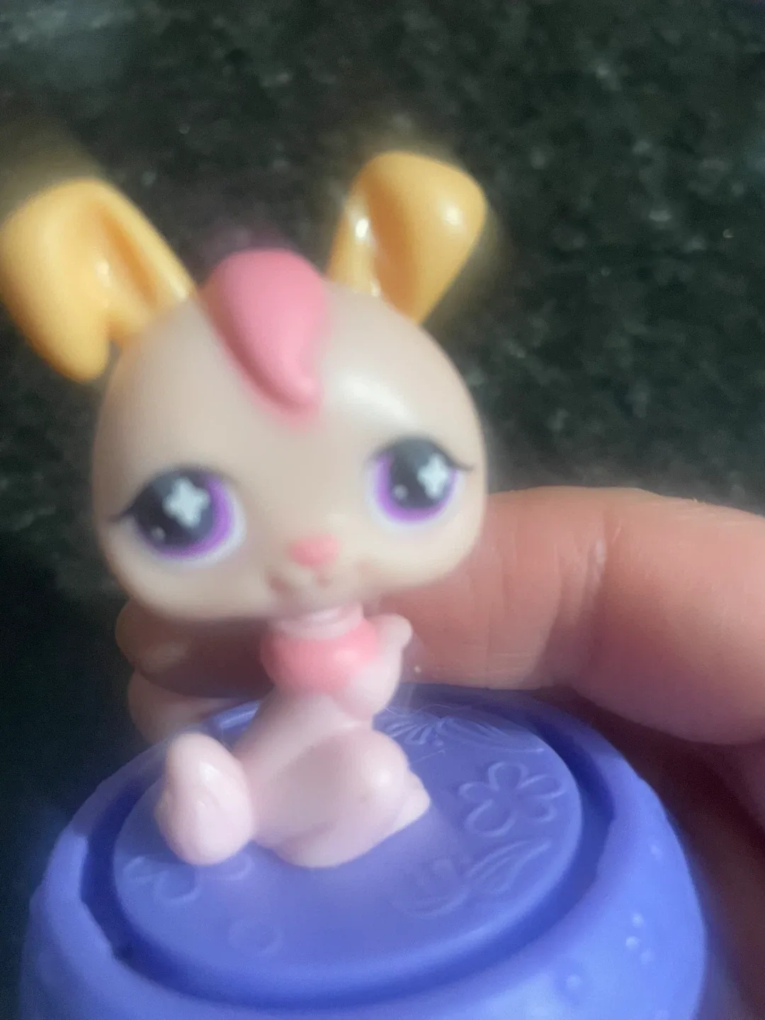 Littlest Pet Shop Items image indicator(2)