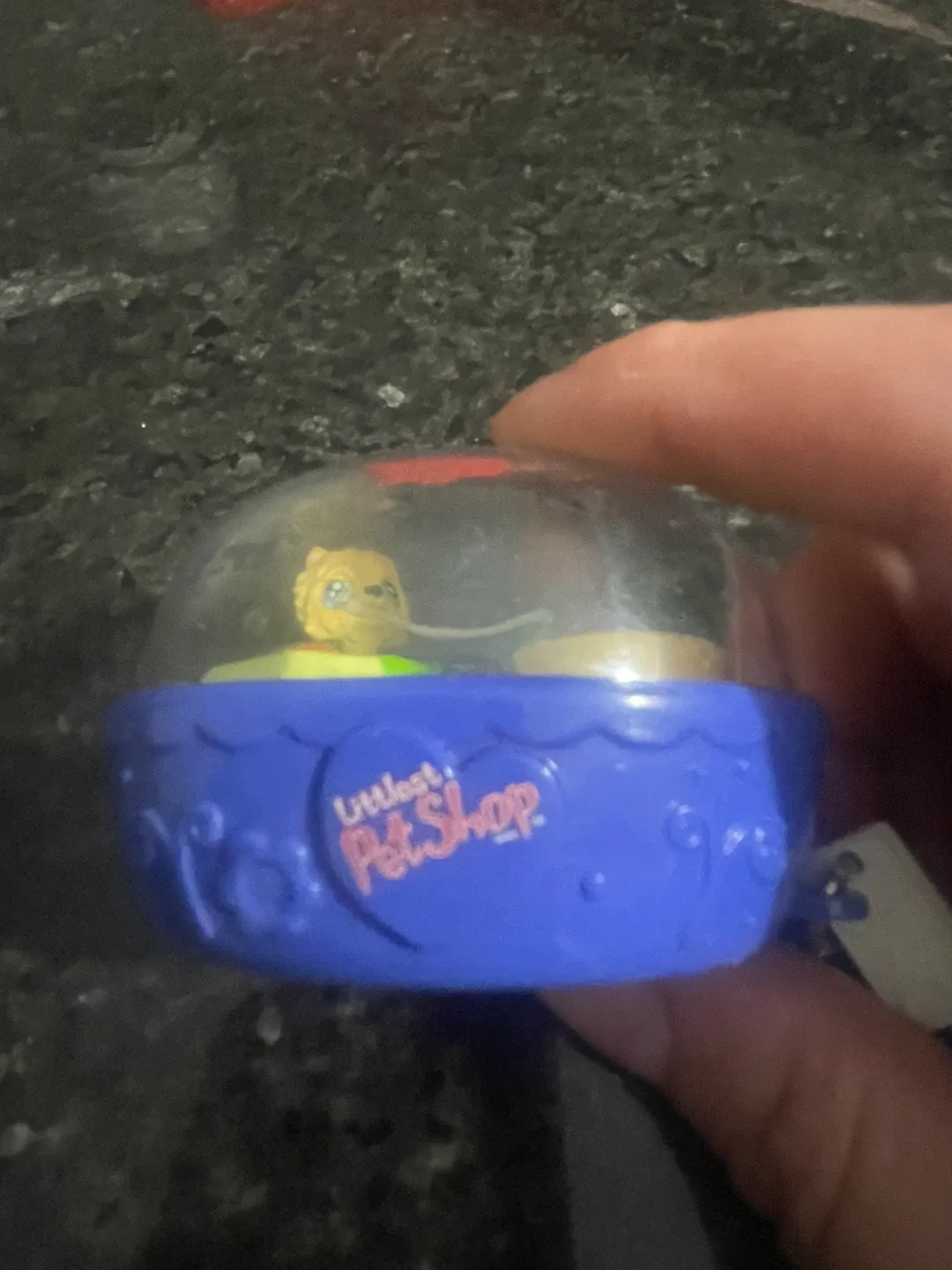 Littlest Pet Shop Items image indicator(5)