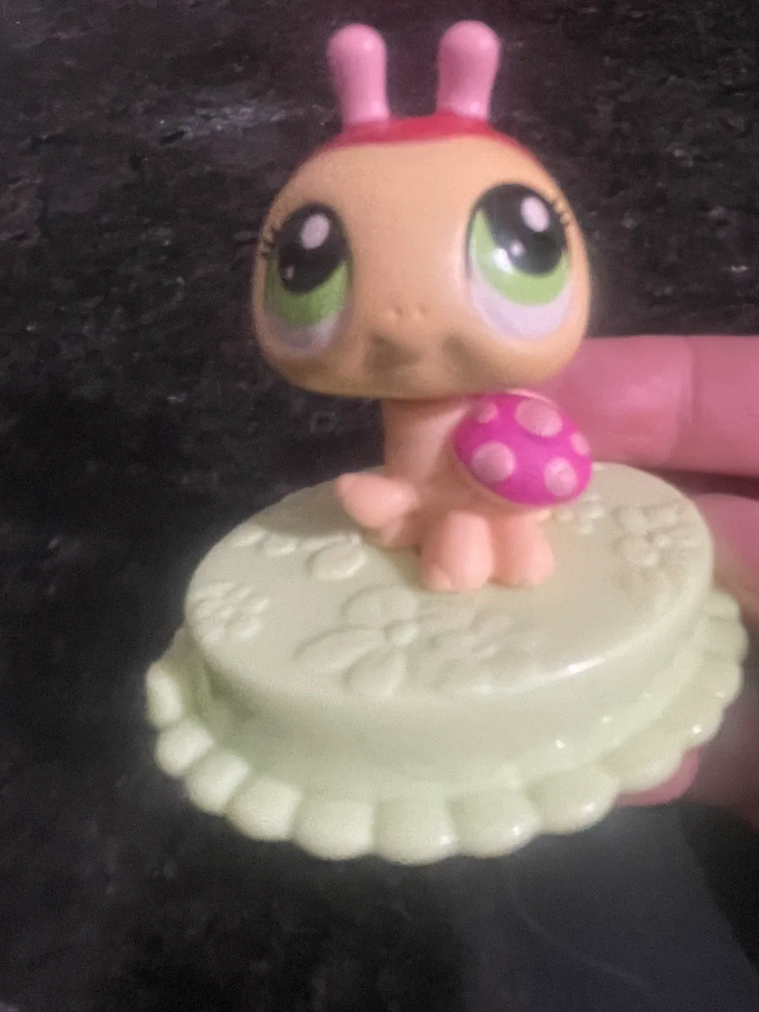 Littlest Pet Shop Items image indicator(8)