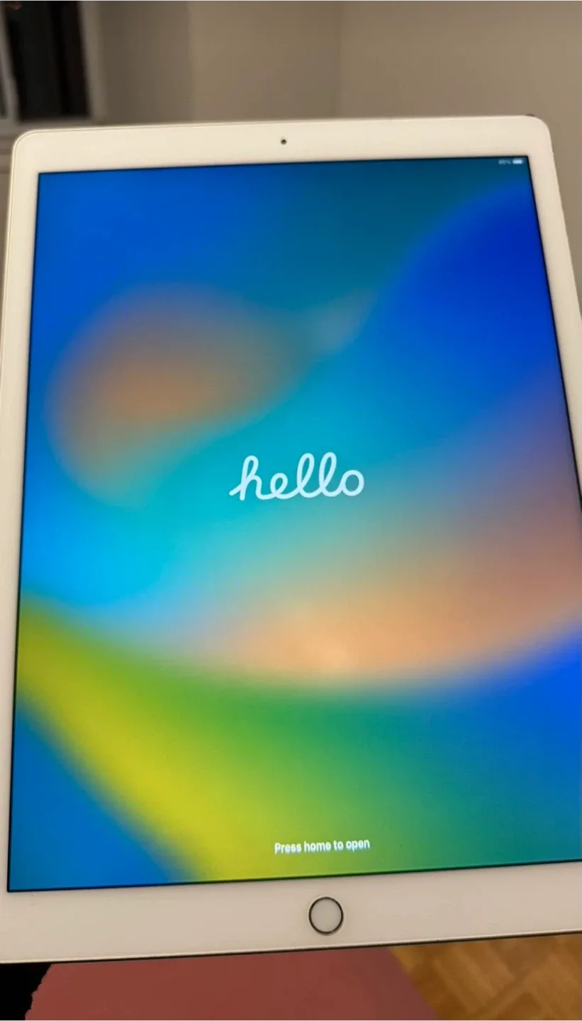 iPad Pro 12.9-inch (1st gen) + Apple Pencil image indicator(4)