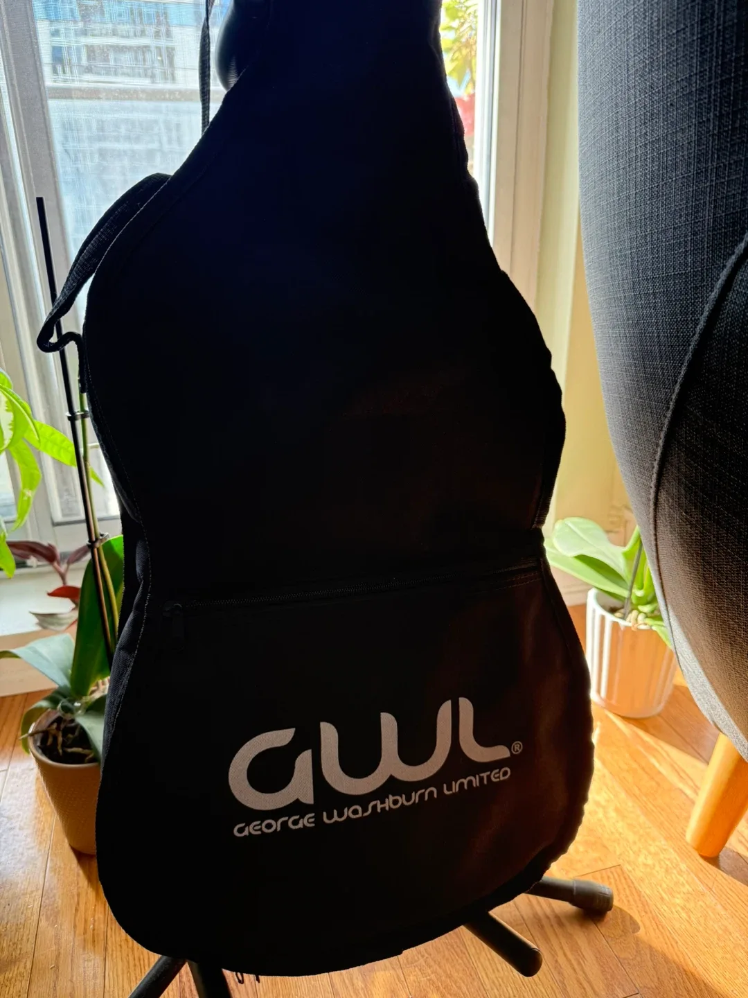 Electric Guitar GWL image indicator(4)