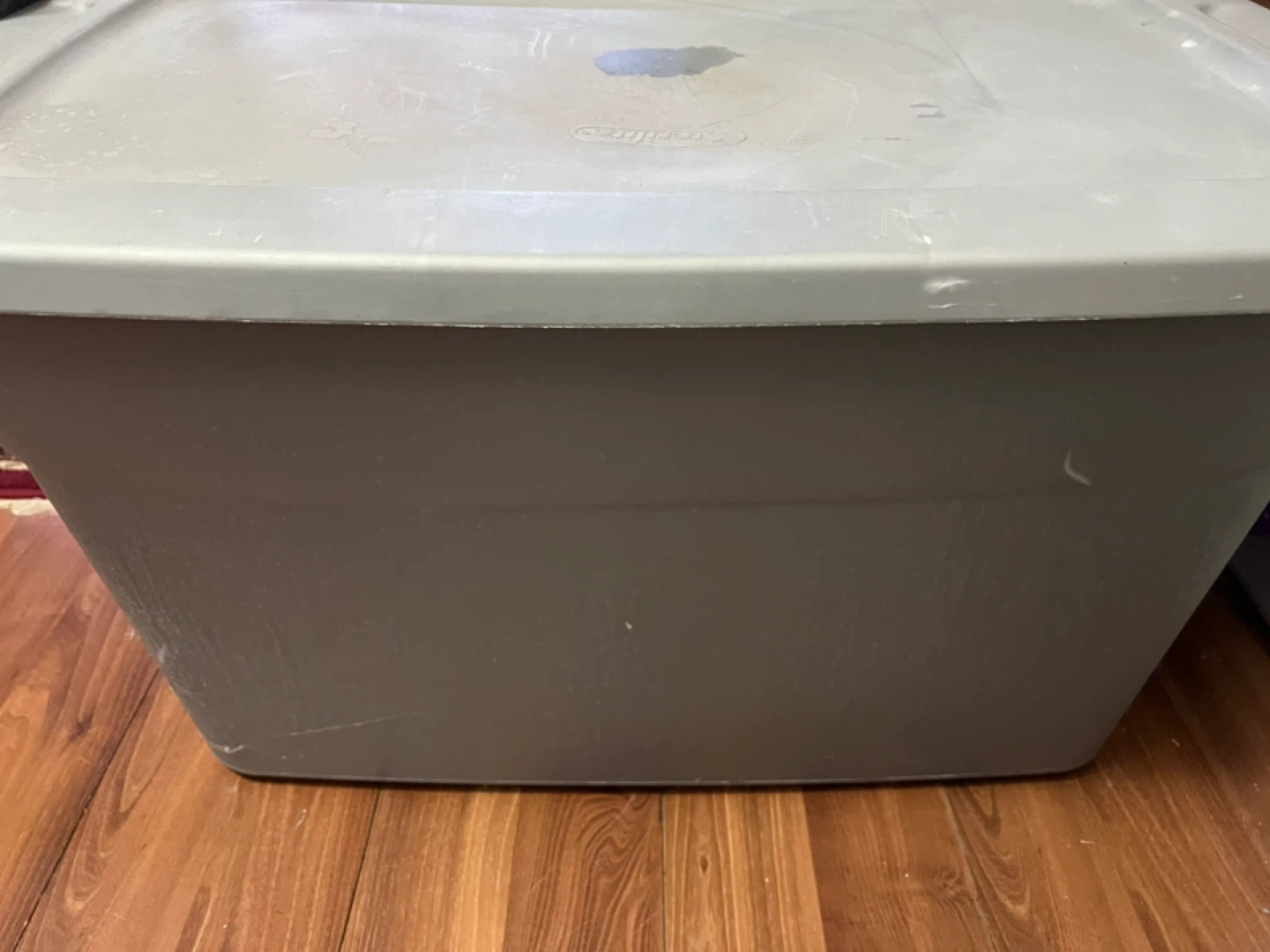 Sterilite Storage Container