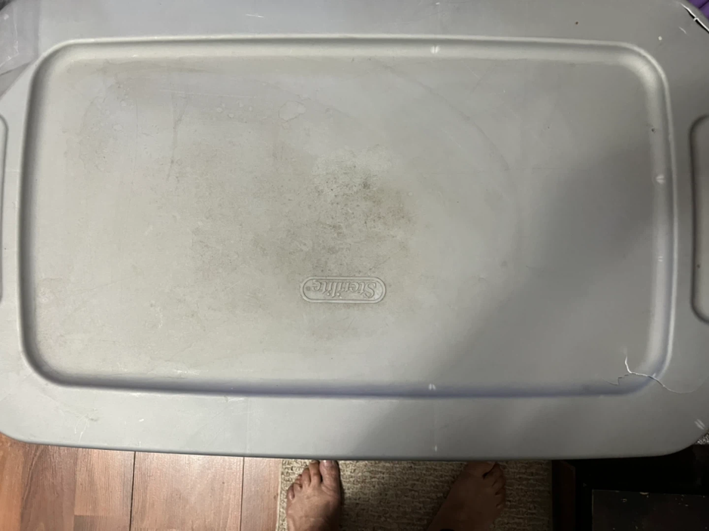 Sterilite Storage Container - photo 2